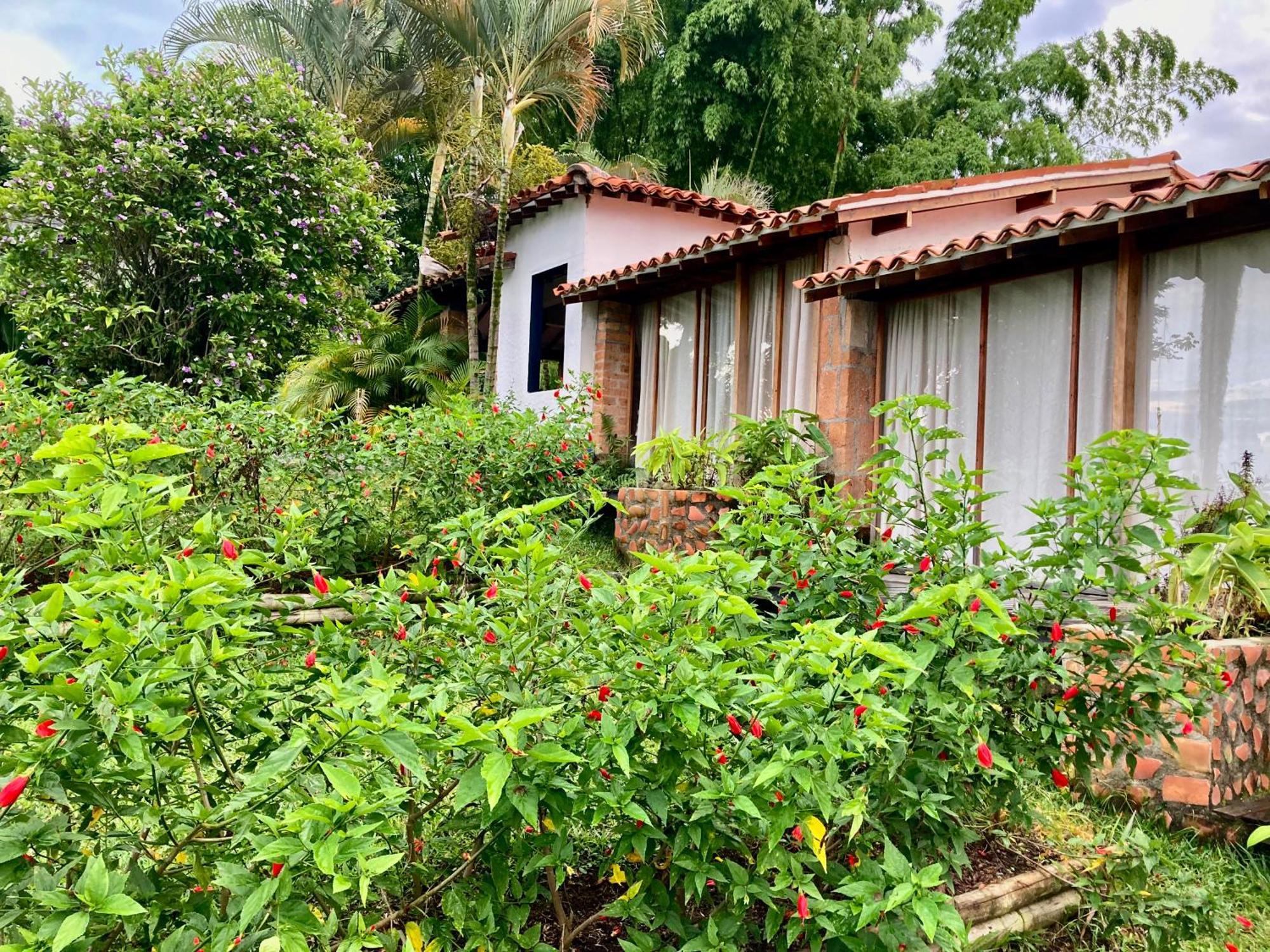 Aldea Sabatinga Villa มานิซาเลส ภายนอก รูปภาพ