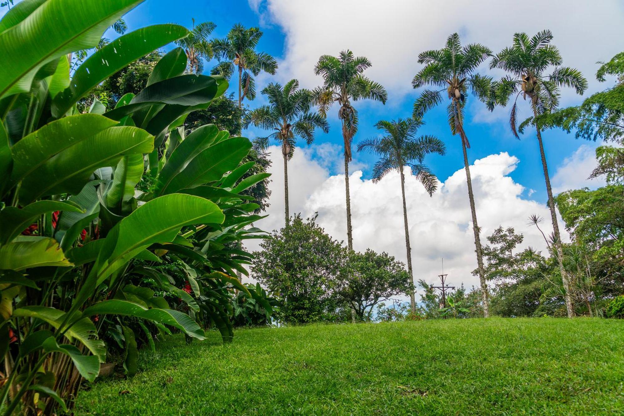 Aldea Sabatinga Villa มานิซาเลส ภายนอก รูปภาพ